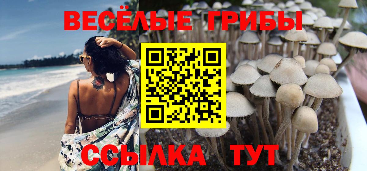 Галлюциногенные грибы мухоморы  Псилоцибиновые грибы Cubensis  Вход с VPN  Ульяновск 